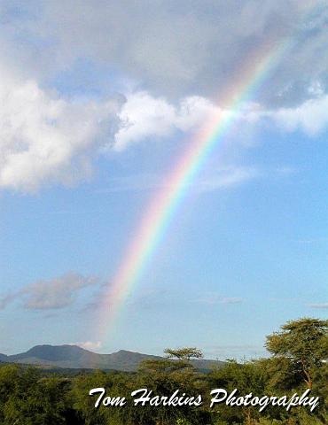 Wheres that pot of gold.jpg